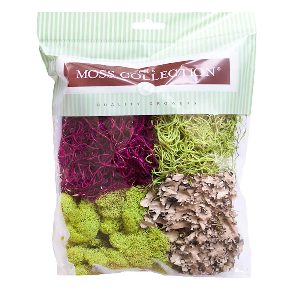 Moss Variety Pack, Small