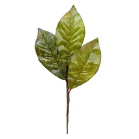 Green Magnolia Leaf Pick, 13"