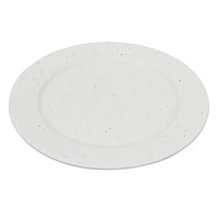 Speckled Ceramic Dinner Plate