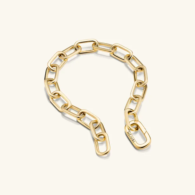 Link & Chain Charm Bracelet in 18K Gold Vermeil