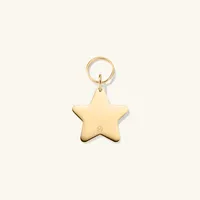 Star Pet Tag : Handcrafted in 24k Gold Plated Stainless Steel | Mejuri