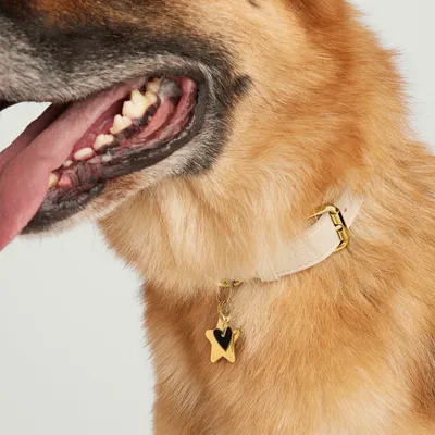 Heart Pet Charm : Handcrafted in 24k Gold Plated Stainless Steel | Mejuri