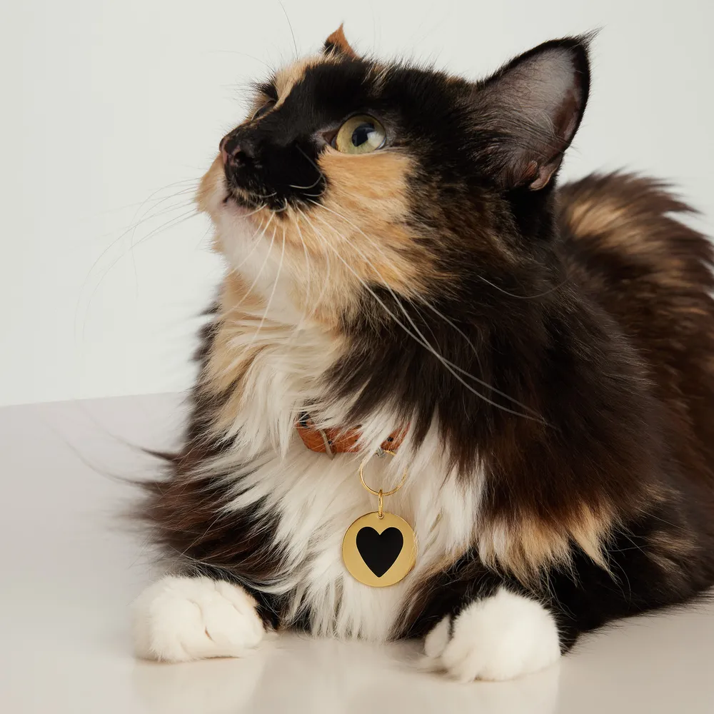 Round Heart Pet Tag : Handcrafted in 24k Gold Plated Stainless Steel | Mejuri