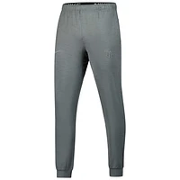 Tampa Bay Rays Travel Men’s Nike Dri-FIT MLB Pants