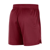 Miami Heat Men's Nike NBA Mesh Shorts