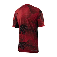 Canada 2023 Stadium Home Big Kids' Nike Dri-FIT Soccer Jersey