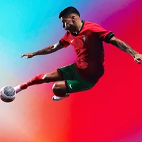 Portugal (Men's Team) 2024/25 Match Home Men's Nike Dri-FIT ADV Soccer Authentic Jersey