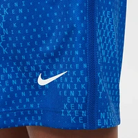 Nike Multi Big Kids' (Boys') Dri-FIT Shorts