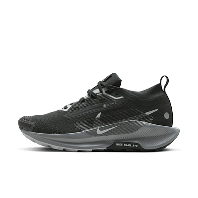 Nike Pegasus Trail 5 GORE-TEX Women's Waterproof Running Shoes