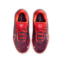 LeBron XXII SE Big Kids' Basketball Shoes