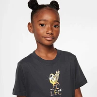 Liverpool FC Big Kids' Nike Soccer T-Shirt