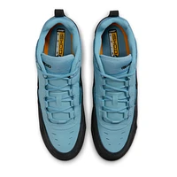 Nike Air Max Ishod Skate Shoes