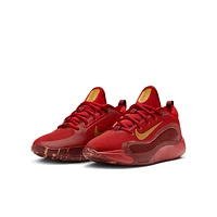 Nike IsoFly Big Kids' Basketball Shoes
