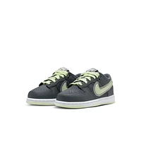 Nike Dunk Low Little Kids' Shoes