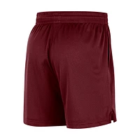 Cleveland Cavaliers Men's Nike NBA Mesh Shorts