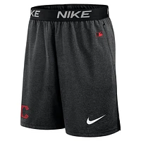 Cincinnati Reds Authentic Collection Practice Men's Nike Dri-FIT MLB Shorts