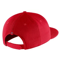 Georgia Nike College Cap