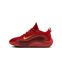 Nike IsoFly Big Kids' Basketball Shoes