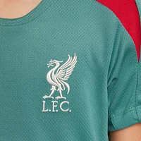 Liverpool FC Strike Big Kids' Nike Dri-FIT Soccer Short-Sleeve Knit Top