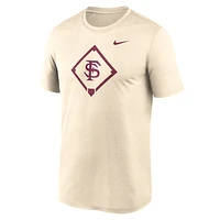 Florida State Seminoles Legend Baseball Icon Men's Nike Dri-FIT College T-Shirt