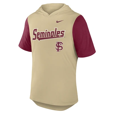 Florida State Seminoles Baseball Script Men's Nike Dri-FIT College Hooded T-Shirt