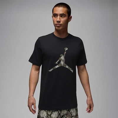 Jordan Sport Men's Dri-FIT T-Shirt