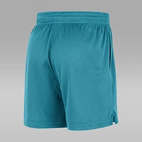 Charlotte Hornets Men's Nike NBA Mesh Shorts