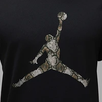 Jordan Sport Men's Dri-FIT T-Shirt
