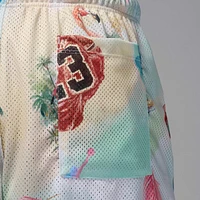 Jordan Essentials Men's Printed Mesh Shorts