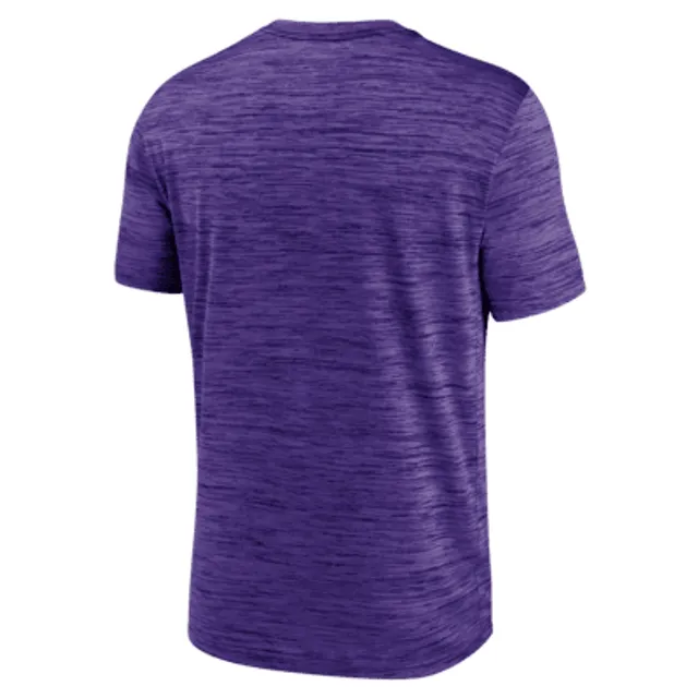 Nike Dri-FIT Logo Legend (NFL Minnesota Vikings) Men's T-Shirt