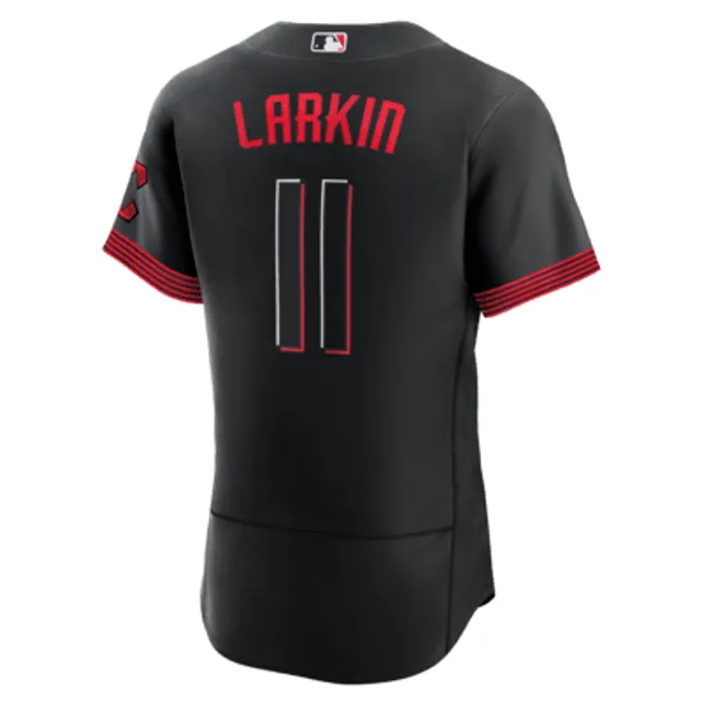 Nike MLB Cincinnati Reds City Connect (Barry Larkin) Men's Replica