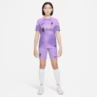 Liverpool FC 2022/23 Stadium Goalkeeper Big Kids' Nike Dri-FIT Soccer Jersey. Nike.com