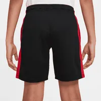Jordan Big Kids' Sport Shorts. Nike.com