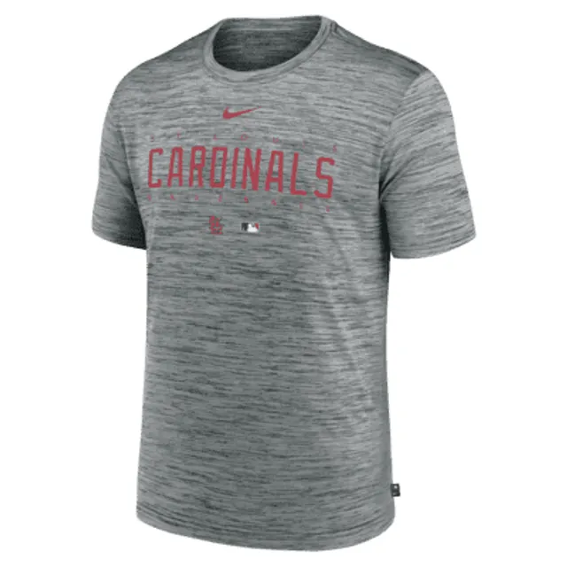 Men's St. Louis Cardinals Navy Legend Velocity T-Shirt