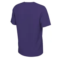 Sacramento Kings Nike Essential Logo T-Shirt - Youth