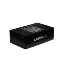 Nike Zoom LeBron 2 Men's Shoes. Nike.com