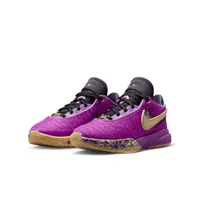 LeBron XX SE Big Kids' Basketball Shoes. Nike.com