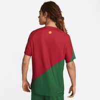 Maillot de football Nike Dri-FIT ADV Nigeria 2022/23 Match Domicile pour  homme. Nike LU