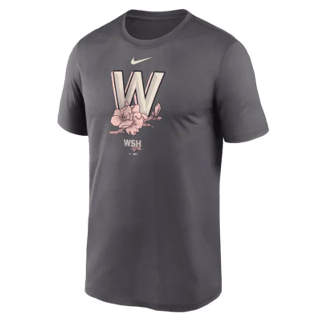 Nike Dri-FIT Icon Legend (MLB Washington Nationals) Men's T-Shirt