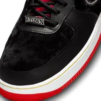 Nike Air Force 1 Low Premium Houston Men's Shoes. Nike.com