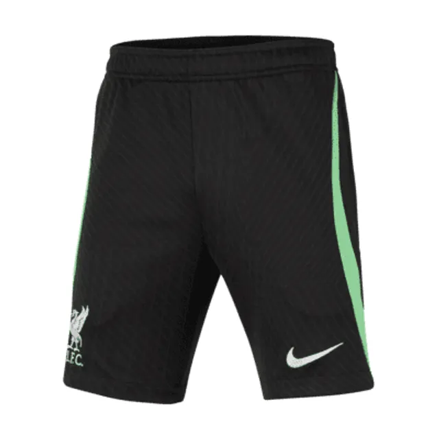 Liverpool FC 2022/23 Stadium Goalkeeper Big Kids' Nike