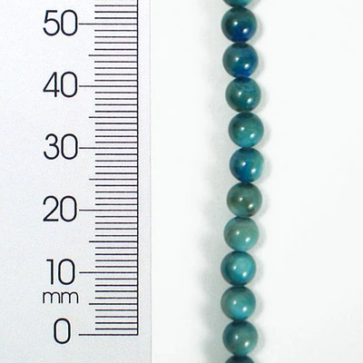 Tinted Shell 5mm Round Blue 2x8" Strand