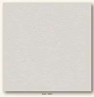 Shale Heavyweight My Colors Cardstock - Photoplay