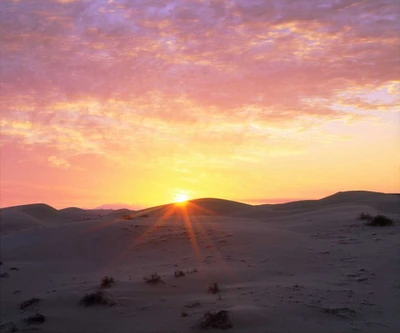 USA, California, Glamis Sand Dunes at Sunrise by Christopher Talbot Frank - Item # VARPDXUS05BJA1279