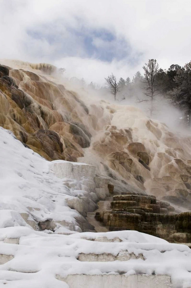 Wyoming, Yellowstone Mammoth Hot Springs scenic by Marie Bush - Item # VARPDXUS51BJY0059