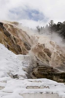 Wyoming, Yellowstone Mammoth Hot Springs scenic by Marie Bush - Item # VARPDXUS51BJY0059