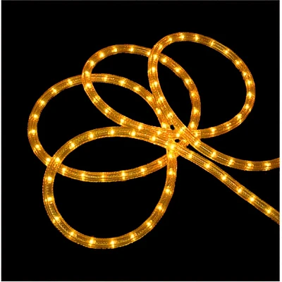 Sienna Gold Incandescent Outdoor Christmas Rope Lights - 102 ft