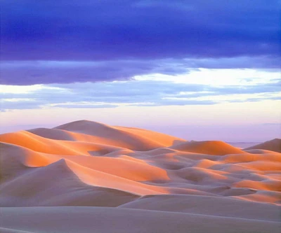 USA, California, Glamis Sand Dunes at sunset by Christopher Talbot Frank - Item # VARPDXUS05BJA0888