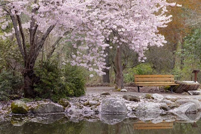 Oregon, Ashland Spring scenic in Lithia Park by Don Paulson - Item # VARPDXUS38BJA0786