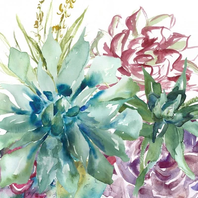 Succulent Garden Watercolor II Poster Print by Tre Sorelle Studios - Item # VARPDXRB11866TS
